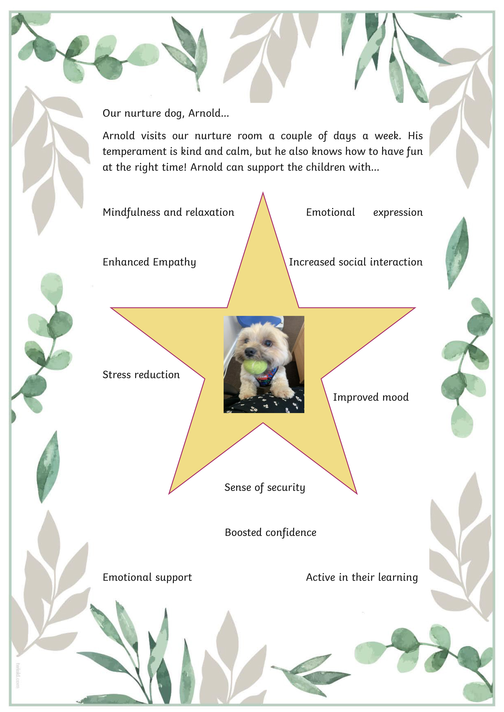 Nurture Dog - Parkside Community Primary School