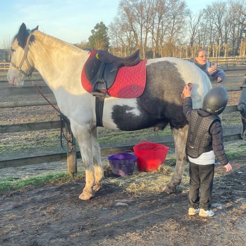 Image of Term 4 Nurture Horse-Riding